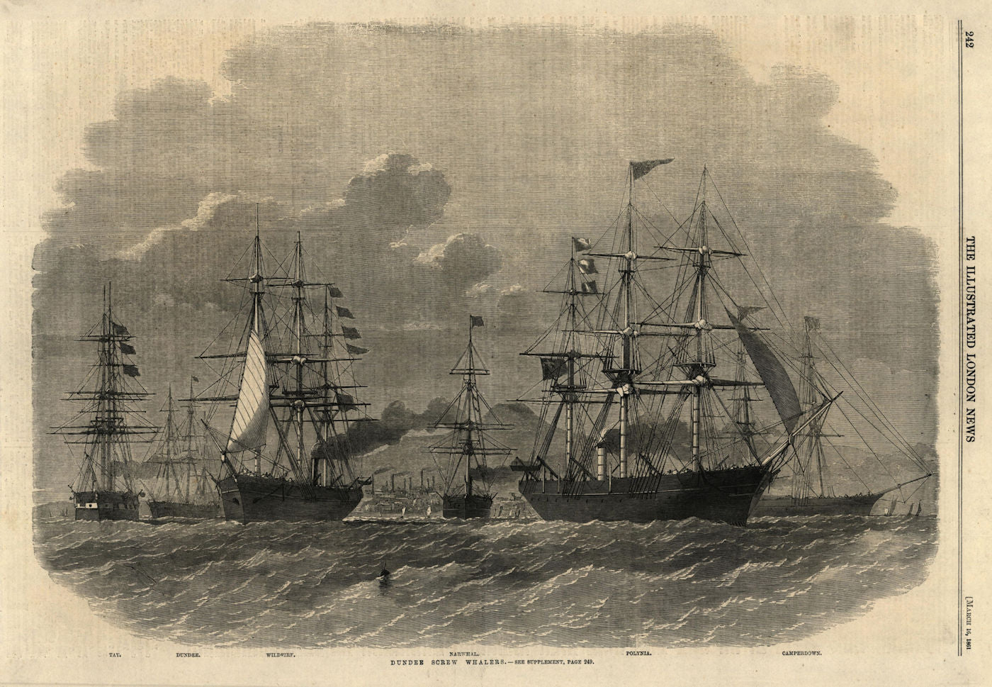 Dundee screw whalers: Tay, Wildfire, Narwhal, Polynia. Scotland 1861 old print